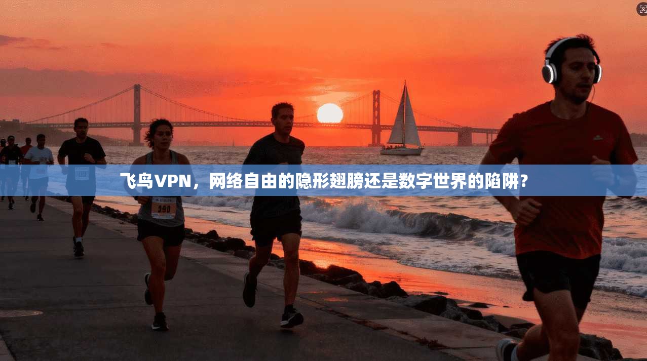 飞鸟VPN，网络自由的隐形翅膀还是数字世界的陷阱？