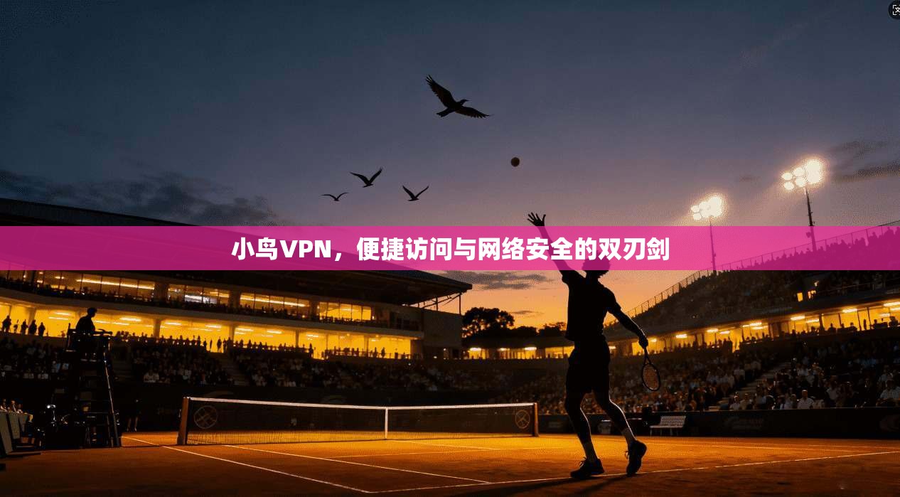 小鸟VPN，便捷访问与网络安全的双刃剑