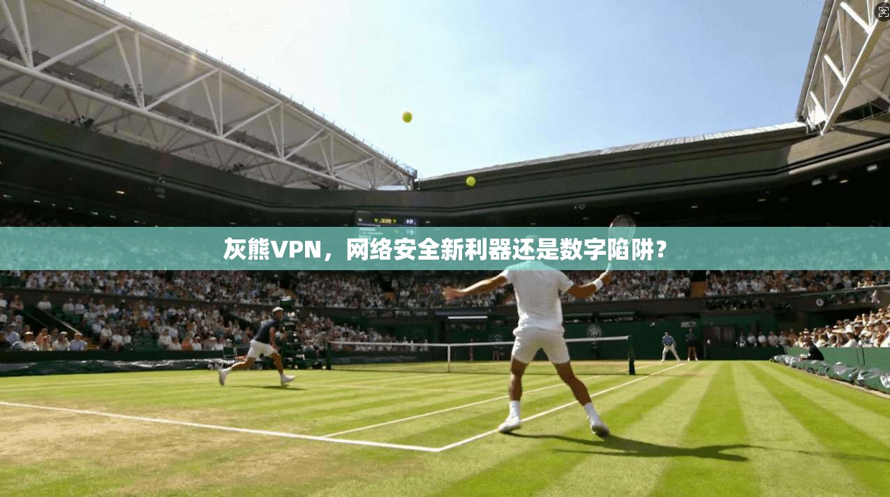 灰熊VPN，网络安全新利器还是数字陷阱？