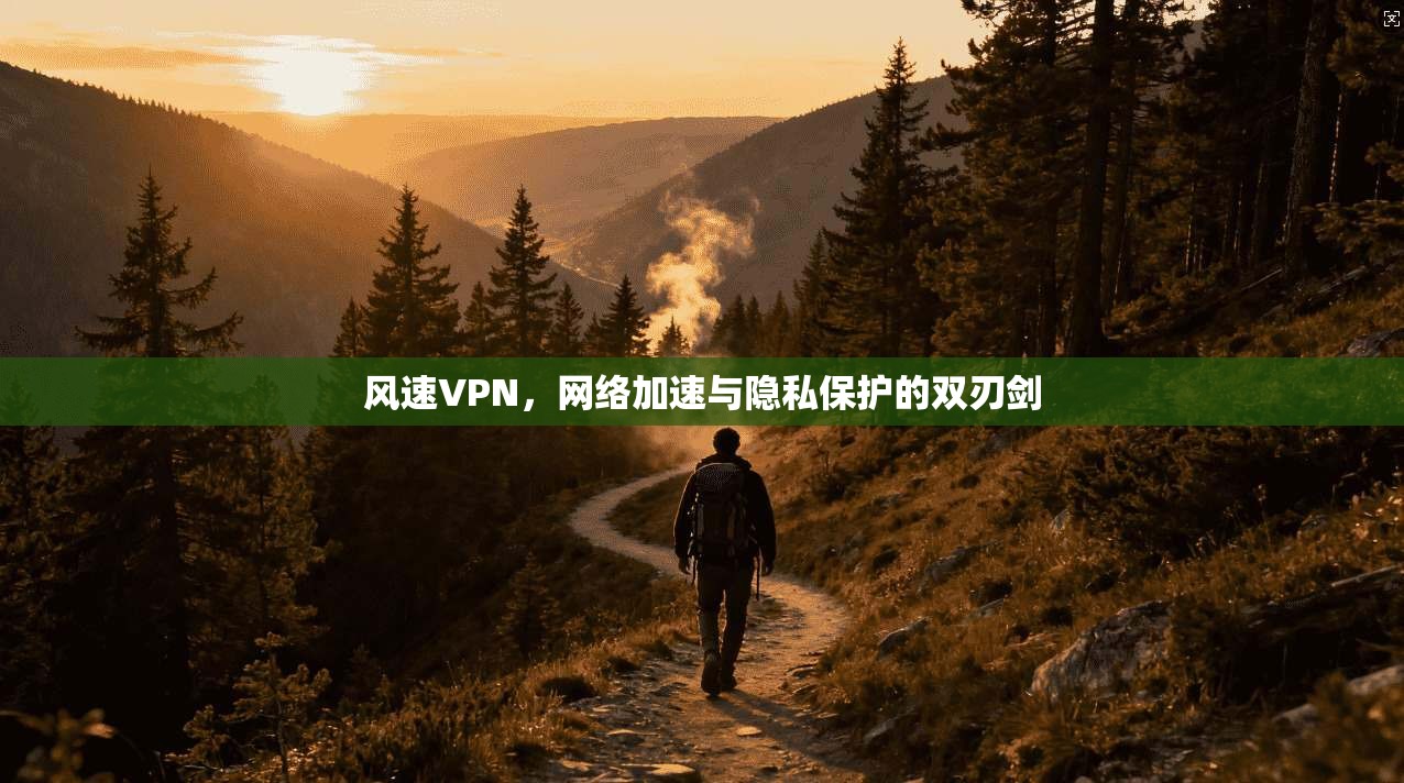 风速VPN，网络加速与隐私保护的双刃剑