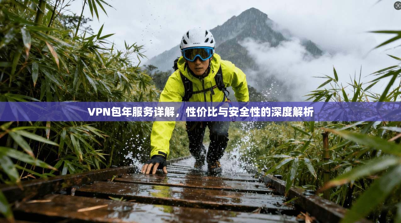 VPN包年服务详解，性价比与安全性的深度解析