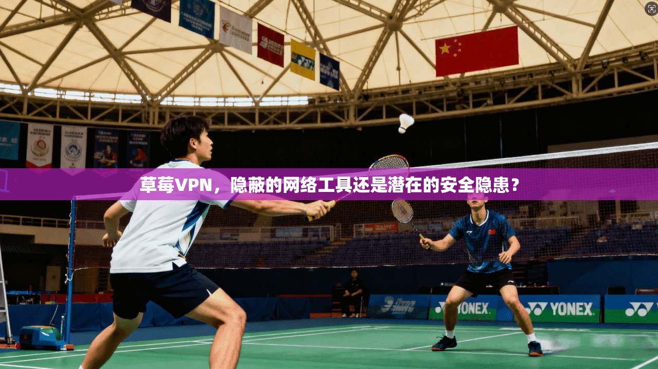 草莓VPN，隐蔽的网络工具还是潜在的安全隐患？