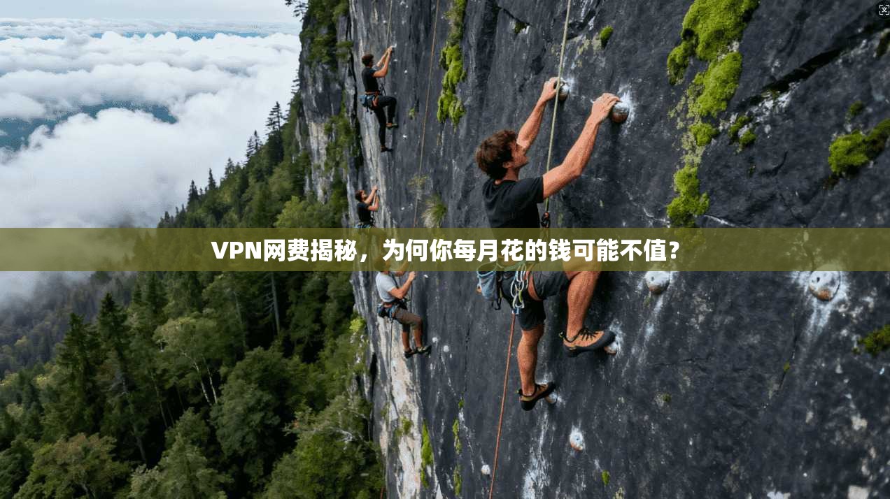 VPN网费揭秘，为何你每月花的钱可能不值？