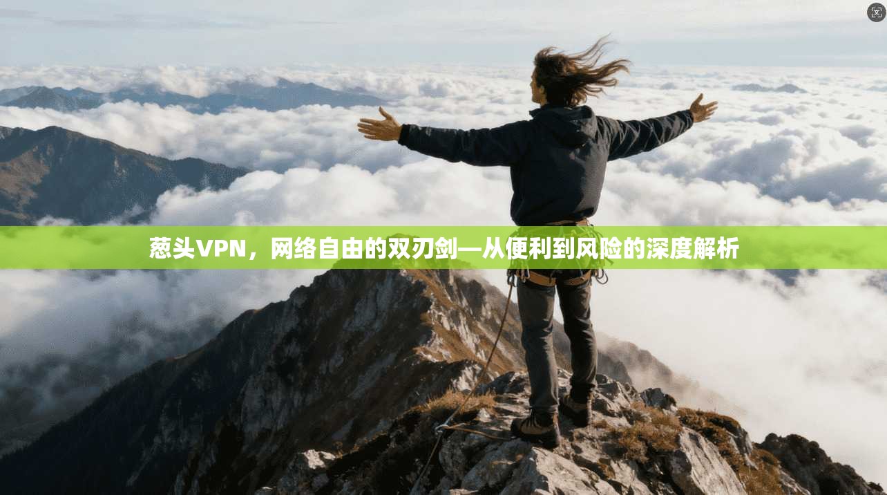 葱头VPN，网络自由的双刃剑—从便利到风险的深度解析