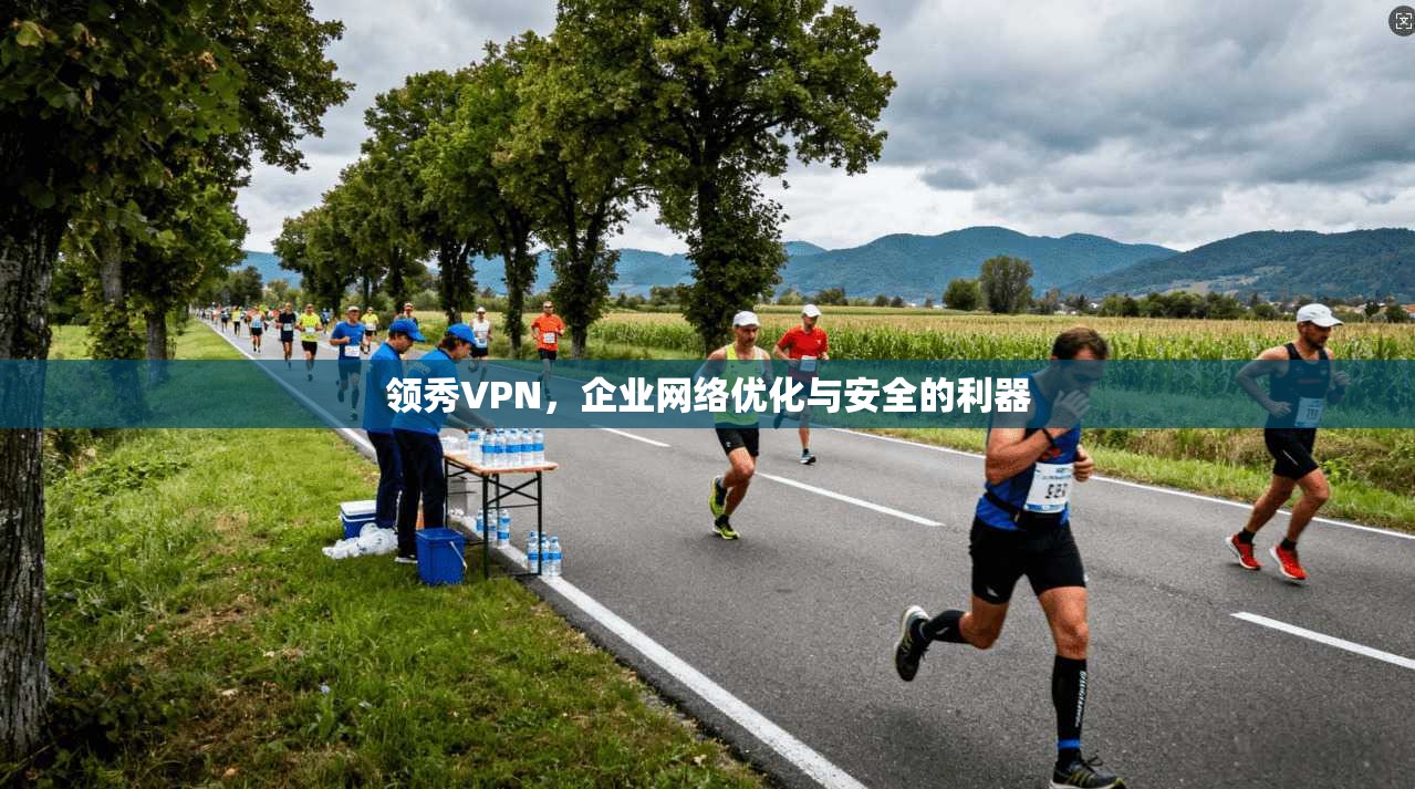 领秀VPN，企业网络优化与安全的利器