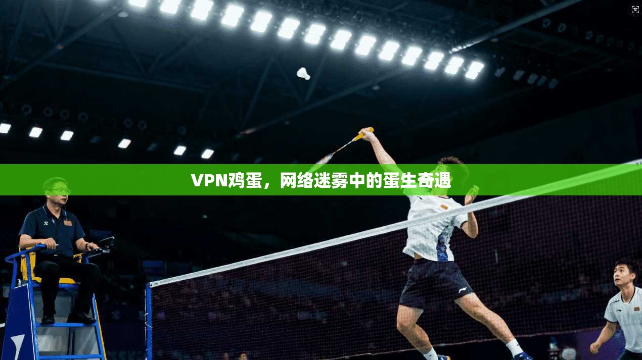 VPN鸡蛋，网络迷雾中的蛋生奇遇