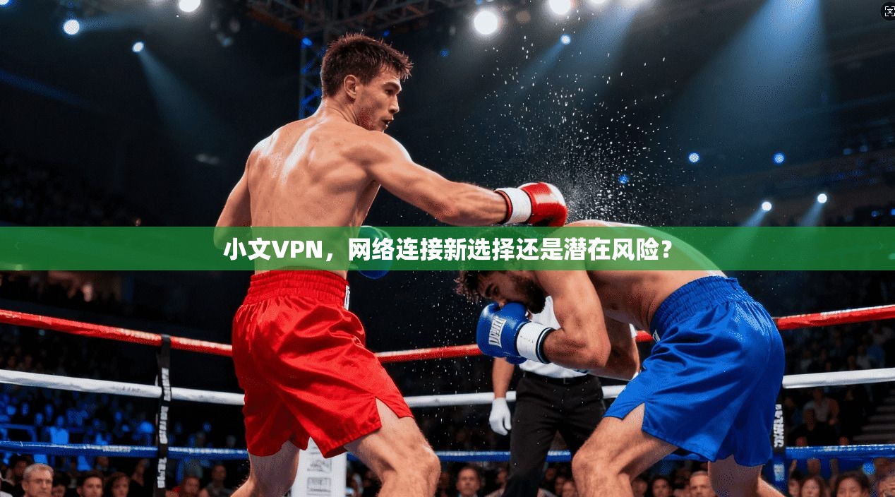 小文VPN，网络连接新选择还是潜在风险？