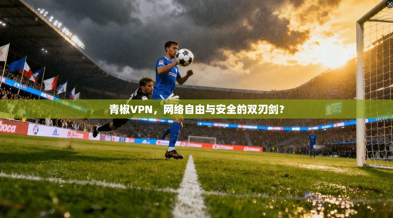 青椒VPN，网络自由与安全的双刃剑？