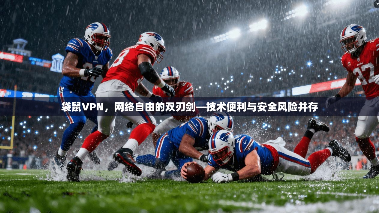 袋鼠VPN，网络自由的双刃剑—技术便利与安全风险并存
