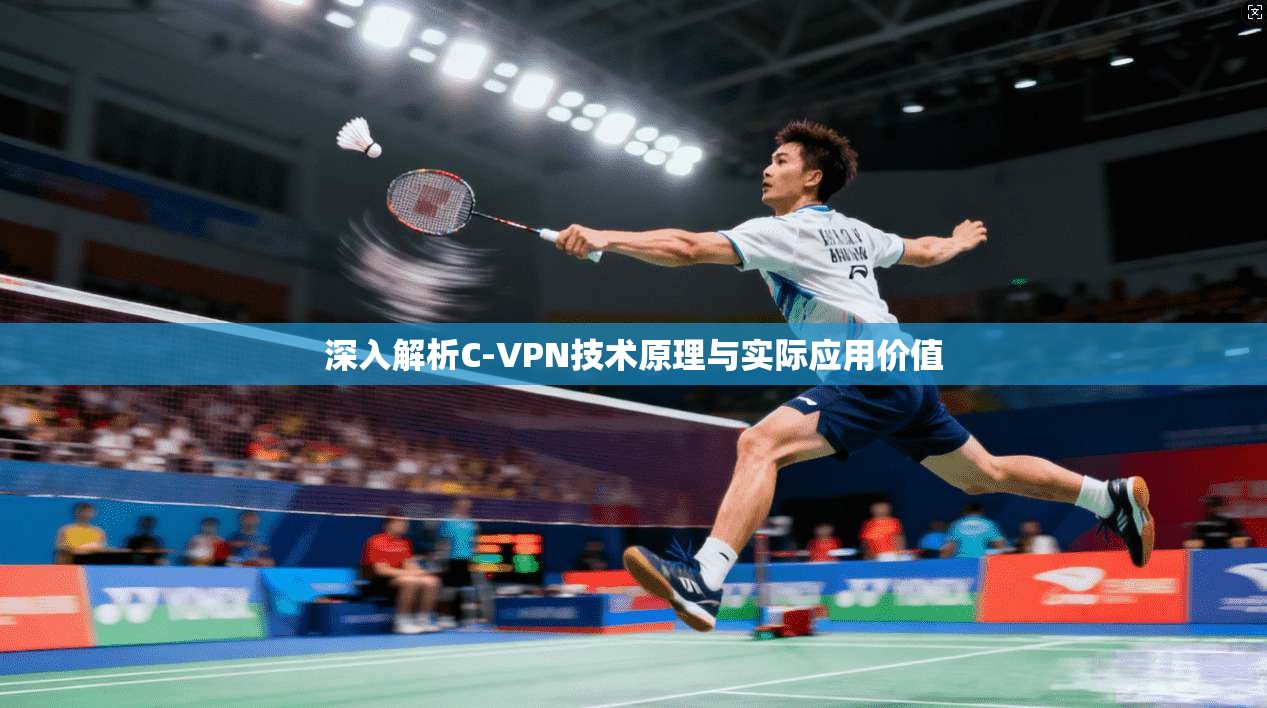 深入解析C-VPN技术原理与实际应用价值