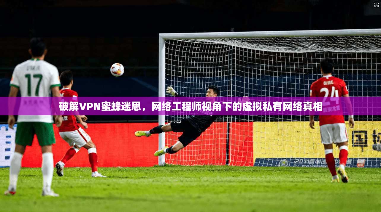 破解VPN蜜蜂迷思，网络工程师视角下的虚拟私有网络真相
