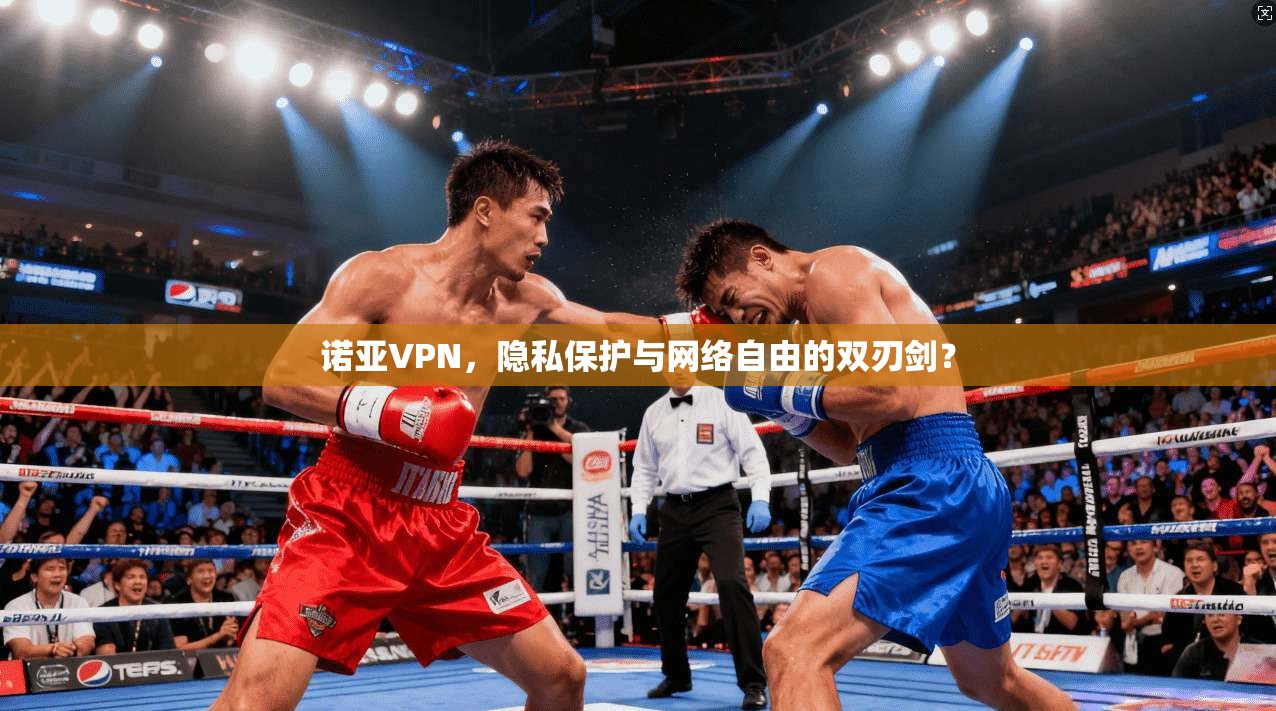 诺亚VPN，隐私保护与网络自由的双刃剑？