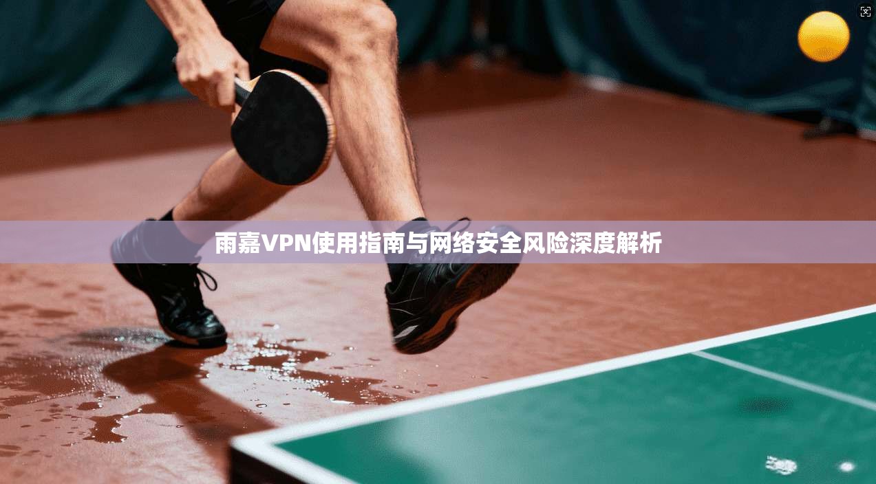 雨嘉VPN使用指南与网络安全风险深度解析