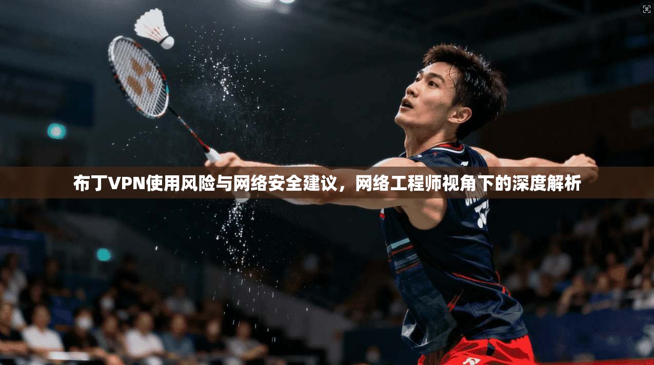布丁VPN使用风险与网络安全建议,网络工程师视角下的深度解析