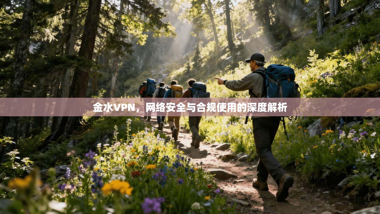 金水VPN，网络安全与合规使用的深度解析