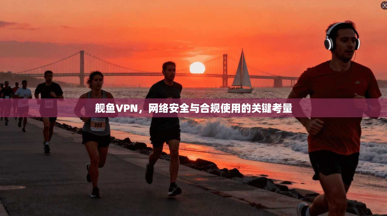 舰鱼VPN，网络安全与合规使用的关键考量