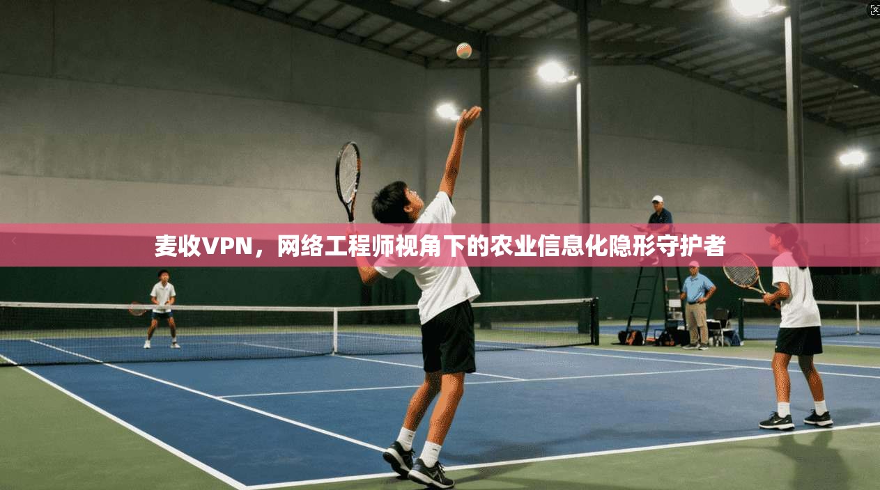 麦收VPN,网络工程师视角下的农业信息化隐形守护者