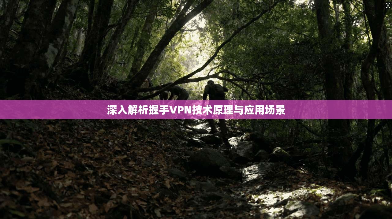 深入解析握手VPN技术原理与应用场景
