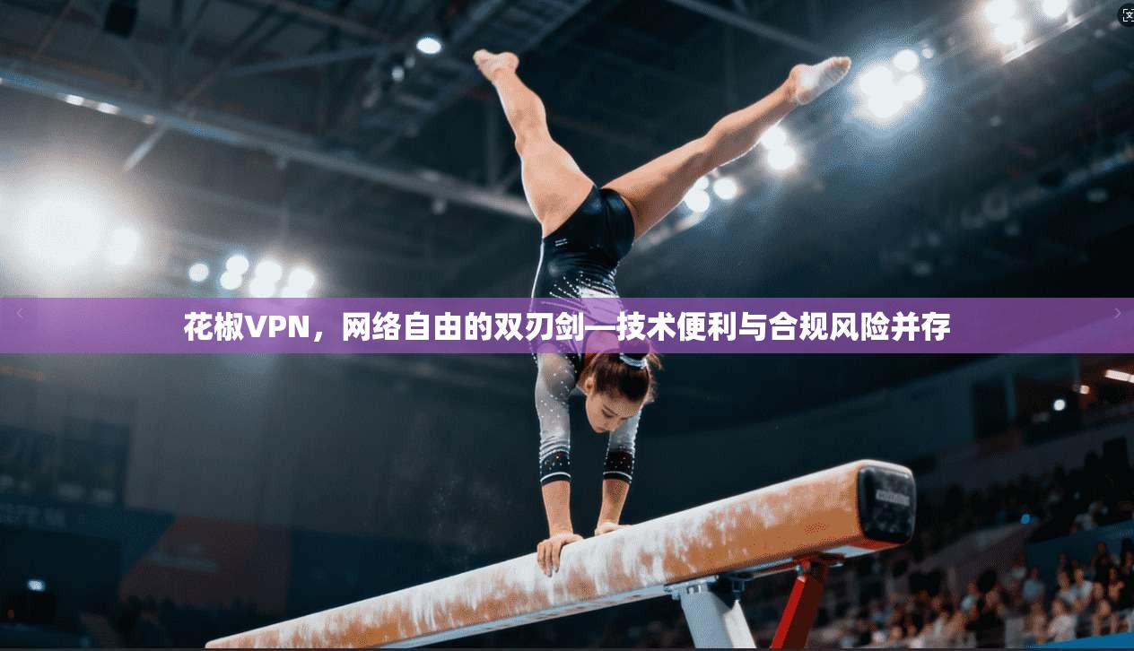 花椒VPN，网络自由的双刃剑—技术便利与合规风险并存