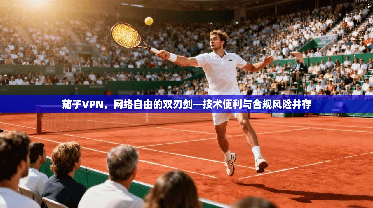 茄子VPN,网络自由的双刃剑—技术便利与合规风险并存