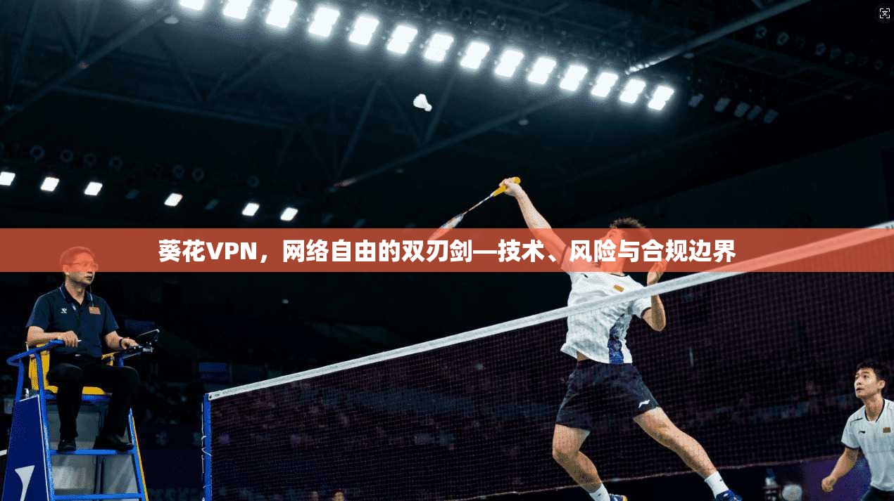 葵花VPN，网络自由的双刃剑—技术、风险与合规边界