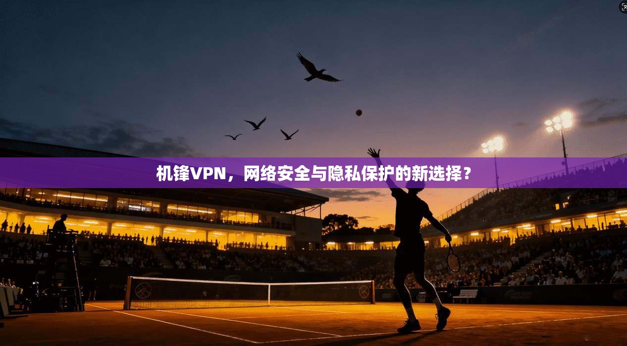 机锋VPN，网络安全与隐私保护的新选择？
