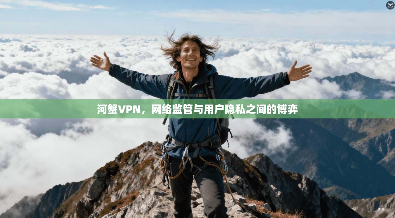 河蟹VPN，网络监管与用户隐私之间的博弈