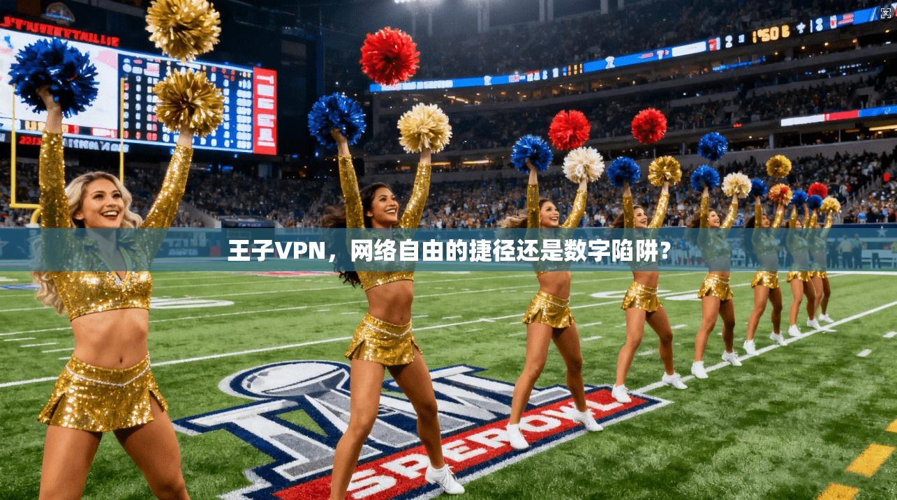 王子VPN,网络自由的捷径还是数字陷阱?