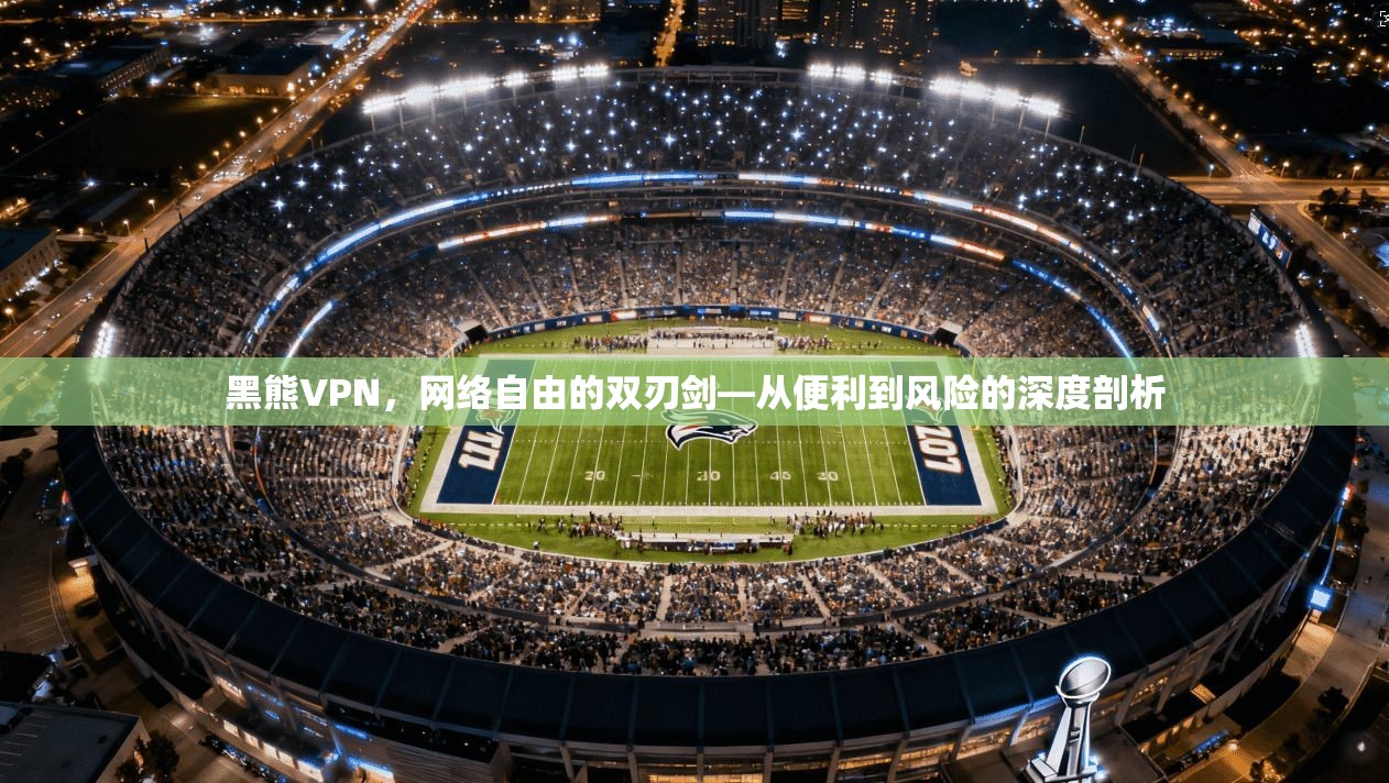 黑熊VPN，网络自由的双刃剑—从便利到风险的深度剖析