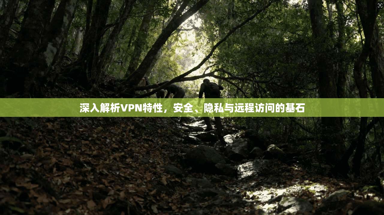 深入解析VPN特性，安全、隐私与远程访问的基石