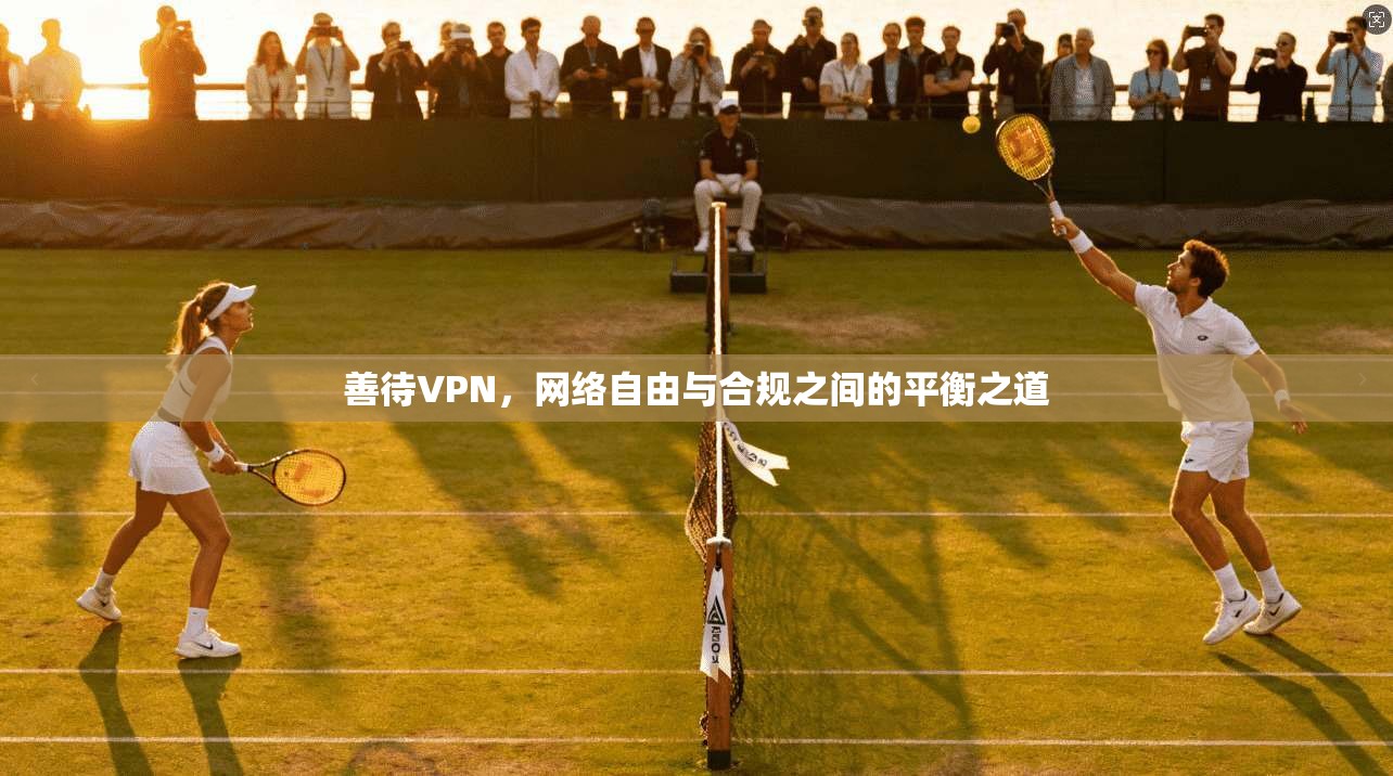 善待VPN,网络自由与合规之间的平衡之道
