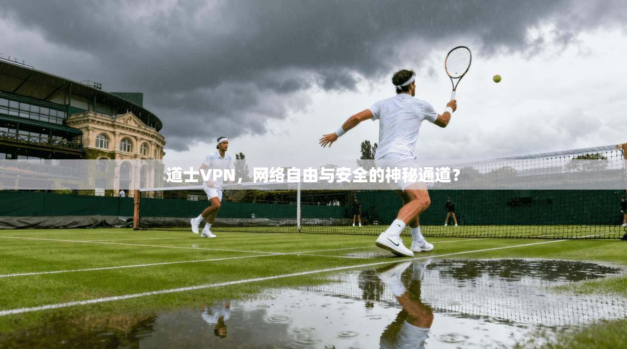 道士VPN，网络自由与安全的神秘通道？