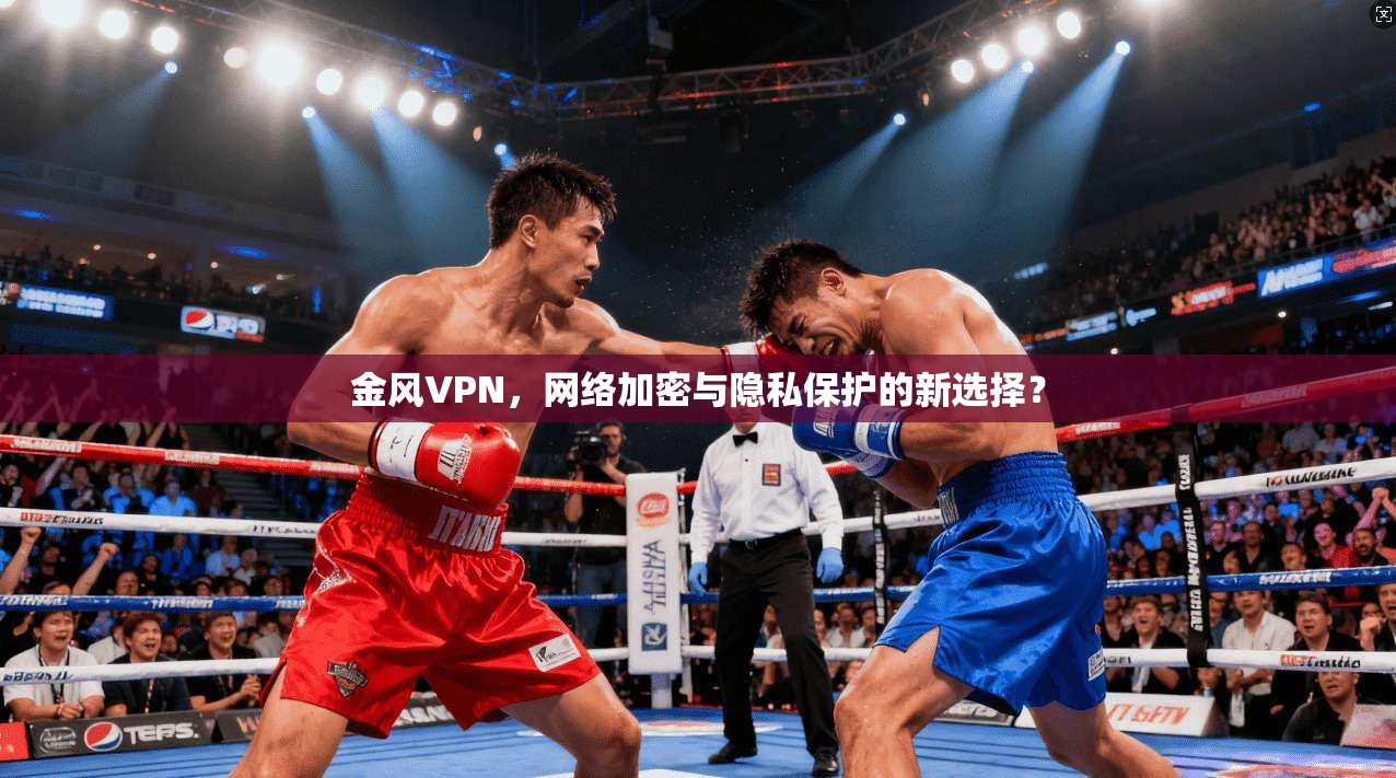 金风VPN,网络加密与隐私保护的新选择?