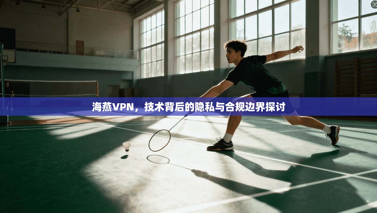 海燕VPN，技术背后的隐私与合规边界探讨