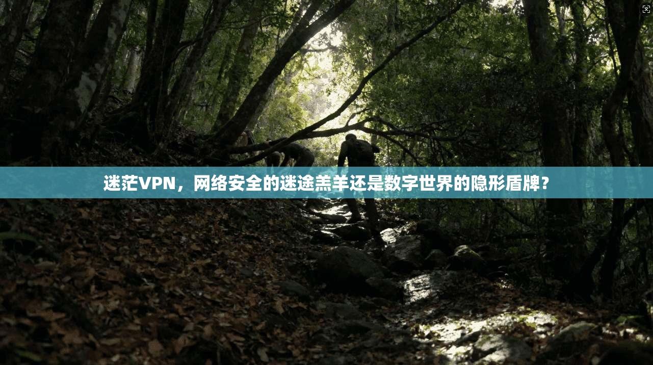 迷茫VPN,网络安全的迷途羔羊还是数字世界的隐形盾牌?