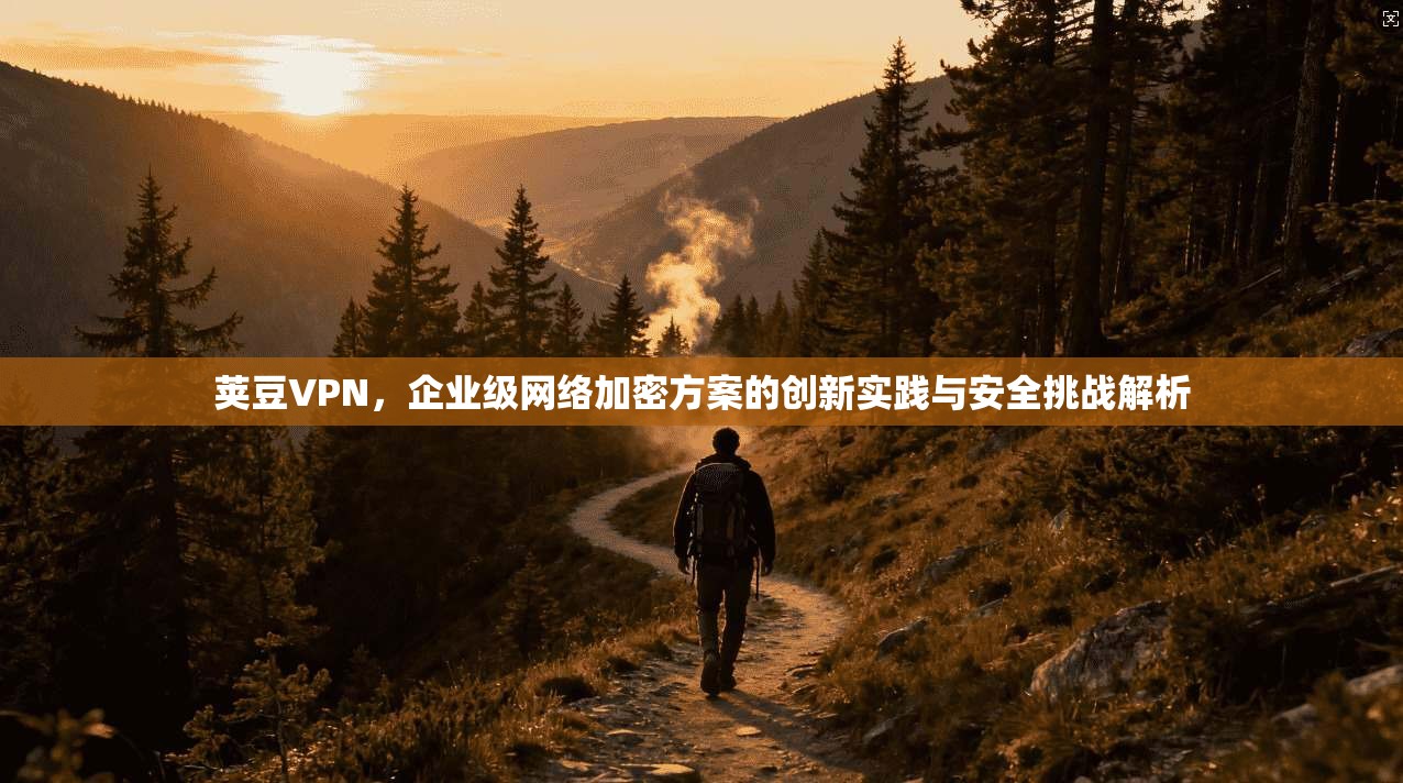 荚豆VPN，企业级网络加密方案的创新实践与安全挑战解析