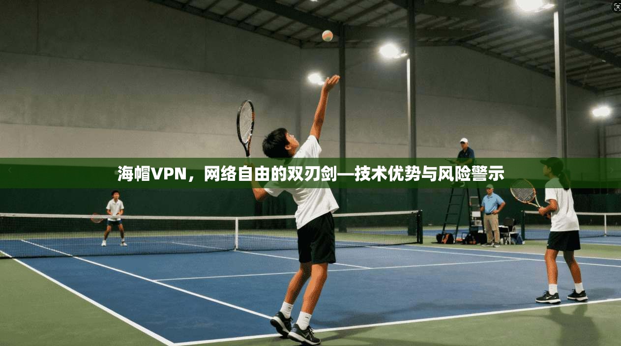 海帽VPN，网络自由的双刃剑—技术优势与风险警示