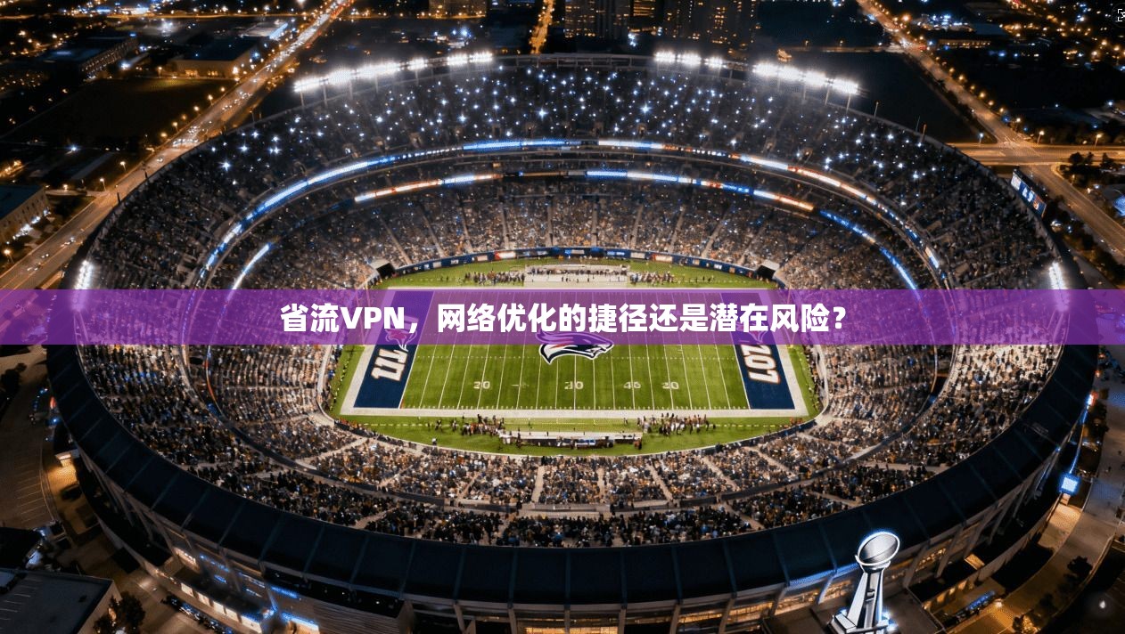 省流VPN，网络优化的捷径还是潜在风险？