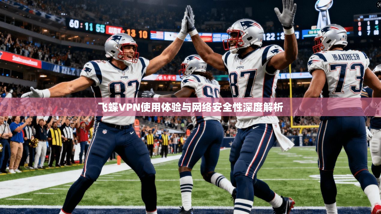 飞蝶VPN使用体验与网络安全性深度解析