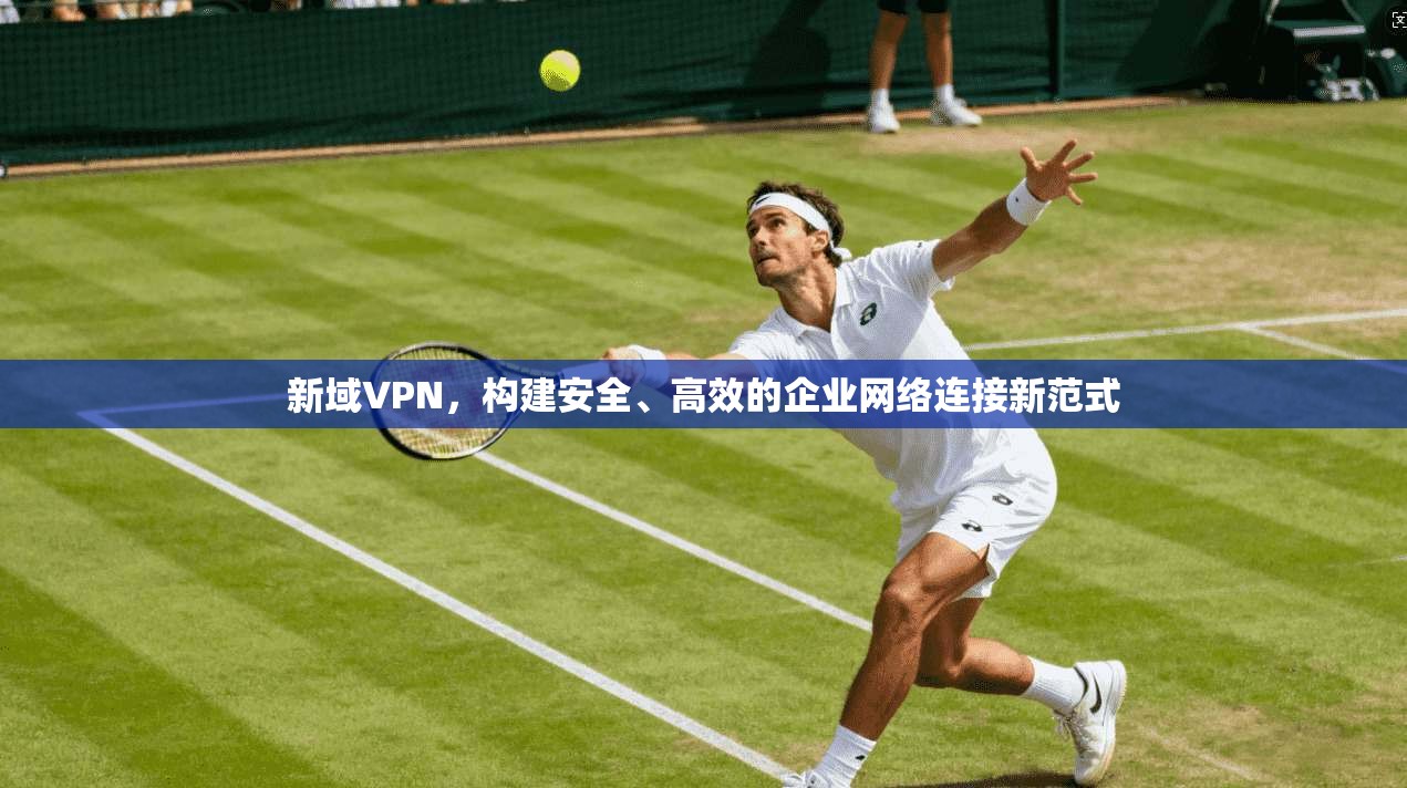 新域VPN，构建安全、高效的企业网络连接新范式
