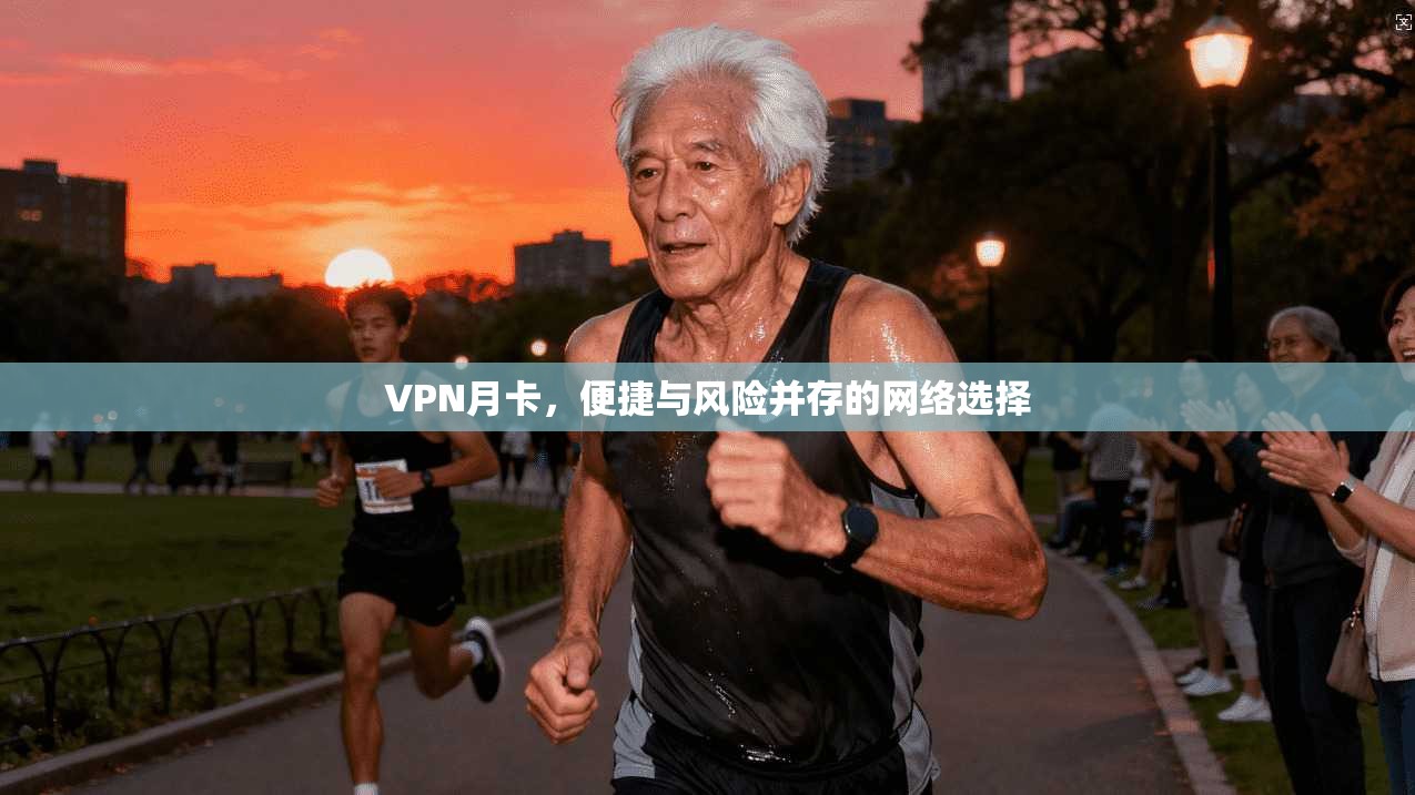 VPN月卡，便捷与风险并存的网络选择