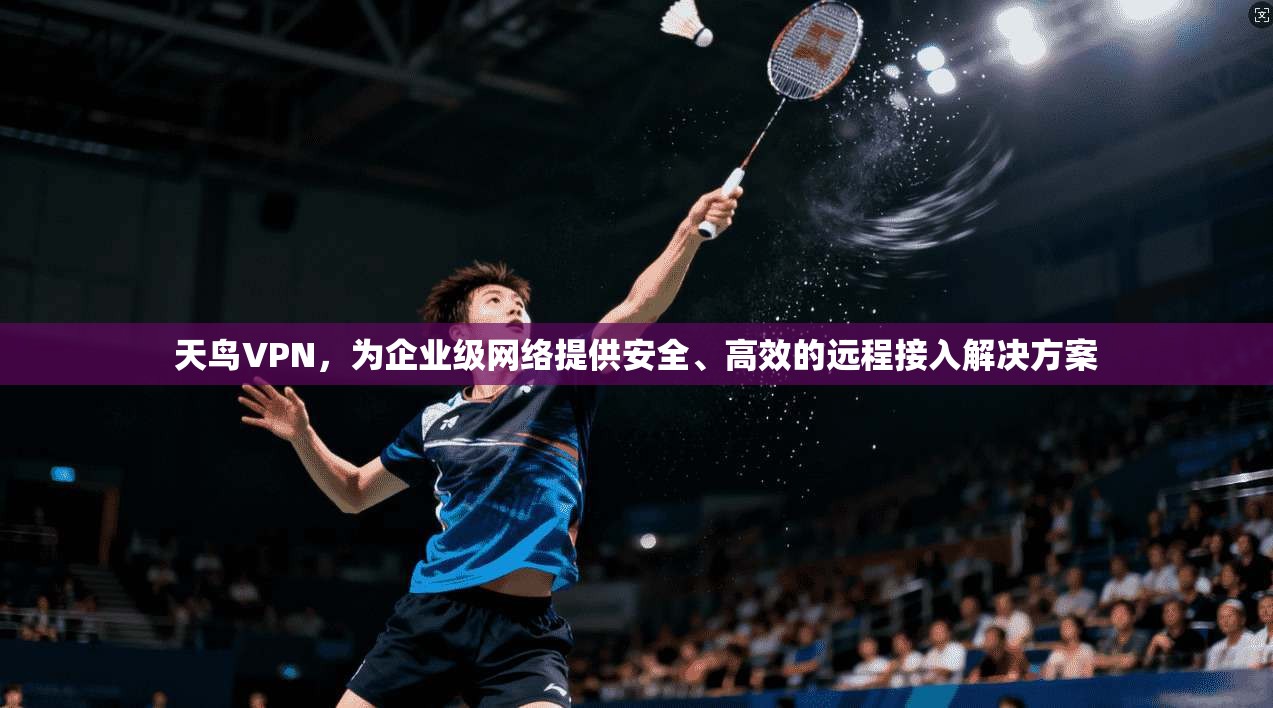 天鸟VPN,为企业级网络提供安全、高效的远程接入解决方案