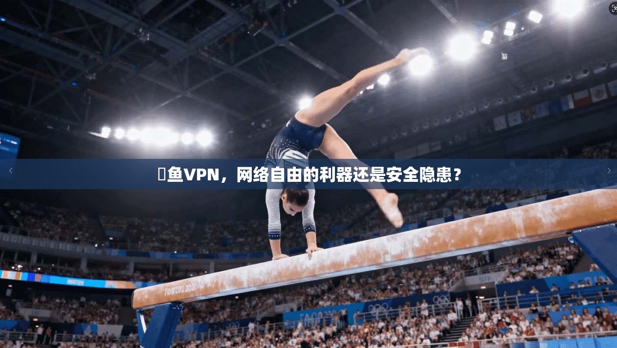 劍鱼VPN，网络自由的利器还是安全隐患？