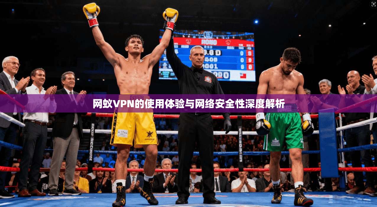 网蚁VPN的使用体验与网络安全性深度解析