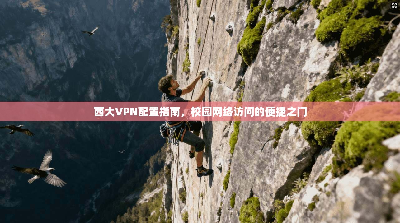 西大VPN配置指南，校园网络访问的便捷之门