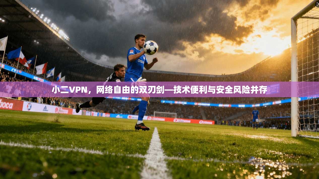 小二VPN，网络自由的双刃剑—技术便利与安全风险并存