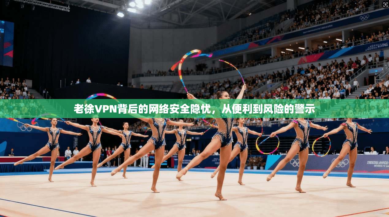 老徐VPN背后的网络安全隐忧，从便利到风险的警示