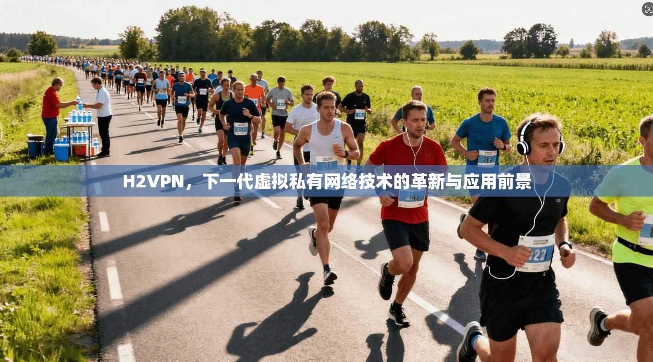 H2VPN,下一代虚拟私有网络技术的革新与应用前景