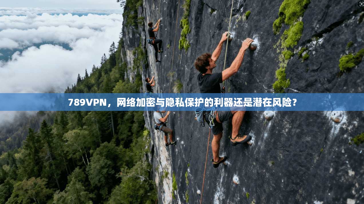 789VPN，网络加密与隐私保护的利器还是潜在风险？
