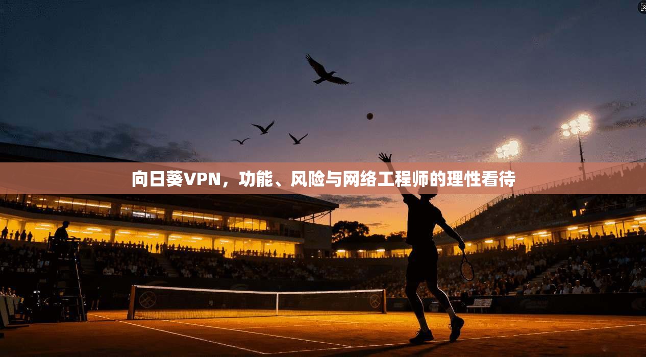 向日葵VPN，功能、风险与网络工程师的理性看待
